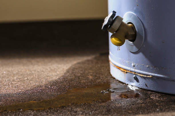Best Professional water damage repair  in Graysville, AL