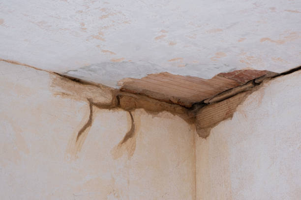 Professional Water damage restoration in AL