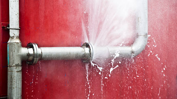 Best Flooded house restoration  in Graysville, AL